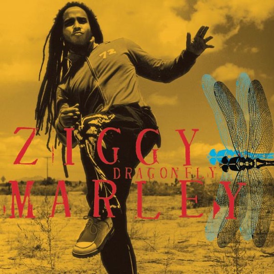 Cover artwork for Dragonfly