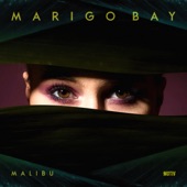 Malibu artwork