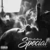 Special - Single album lyrics, reviews, download