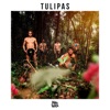 Tulipas - EP