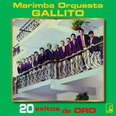 Marimba Orquesta Gallito - Entre Palmeras / Tina