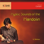 Mystic Sounds Of The Mandolin artwork