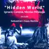 Stream & download Hidden World - Single