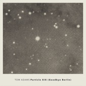 Particle XIX (Goodbye Berlin) artwork