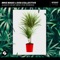 Always On My Mind (Nihil Young Remix) - Mike Mago & Dog Collective lyrics