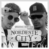 Nordeste City (feat. Dvasto & Rod 3030) song lyrics