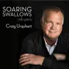 Soaring Swallows - Single album lyrics, reviews, download
