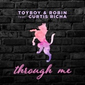 Through Me (Radio Edit) artwork