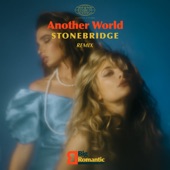 Another World (Stonebridge Remix) artwork