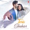 Tera Shehar (feat. Mohd. Kalam) - Amaal Mallik lyrics