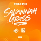 Savannah Grass (Razorshop Road Mix) artwork