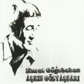 Gelmiş Bahar artwork