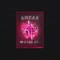 (Break) In Case Of... - Area 11 lyrics