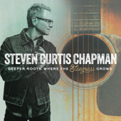 Dive (feat. Ricky Skaggs) - Steven Curtis Chapman