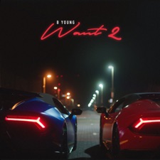 Want2 artwork