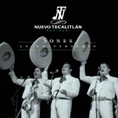 Mariachi Nuevo Tecalitlan - El Son de la Negra