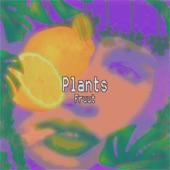 Plants by Fruut