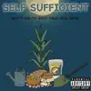 Self Sufficient (feat. Ras Kass) - Single album lyrics, reviews, download