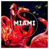 Miami House Anthems, Vol. 29