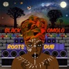 Roots n Dub