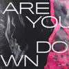 Are You Down (Molavie Remix) - Single album lyrics, reviews, download