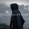 !!!" Chuva Sons 1 Hora "!!! album lyrics, reviews, download