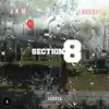 Section 8 (feat. Ngeeyl) - Single album lyrics, reviews, download