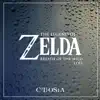 The Legend of Zelda: Breath of the Wild Lofi - EP album lyrics, reviews, download