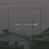 I Said I Love You artwork