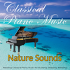 Classical Piano Music with Nature Sounds: Relaxing Classical Music for Studying, Sleeping, Relaxing - Classical Music DEA Channel, Romantic Piano Music Academy & Wolfgang Amadeus Mozart