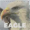 Door 12: Eagle (Instrumental) album lyrics, reviews, download