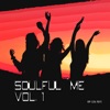 Soulful Me, Vol. 1 (Compiled Mixed by Disco Van)