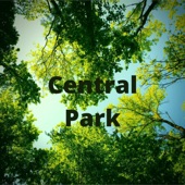 Central Park artwork