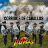 Corridos de Caballos (El Rugido Más Poderoso)