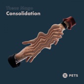 Consolidation - EP artwork