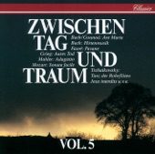 Denis Vigay - J.S. Bach: Brandenburg Concerto No.6 In B Flat Bwv 1051