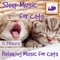 Calming Music for Cats - RelaxMyCat lyrics