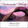 Instrumental Worship Lifestyle: Awesome God