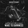 Wake to Darkness (feat. Sins of Insanity) - Single