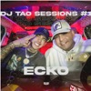 Ecko  DJ Tao Turreo Session #1 - Single