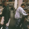 Endtroducing....., 1996