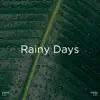 !!!" Rainy Days "!!! album lyrics, reviews, download