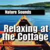 Relaxing At the Cottage album lyrics, reviews, download