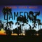 Palm Trees - Damedot lyrics