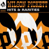 Wilson Pickett - Many Roads to Travel (2007 Remaster)