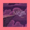 Why Did You Leave Me? - Single album lyrics, reviews, download