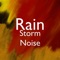 White Noise and Rain artwork