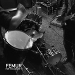 Femur - Welcome Wind II