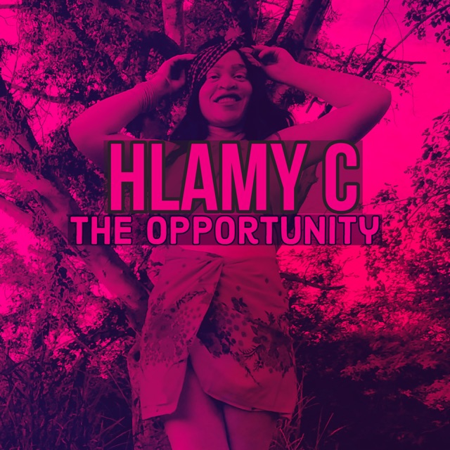 Hlamy C The Opportunity (Radio Edit) - EP Album Cover