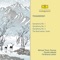 Symphony No. 1 in G Minor, Op. 13, TH.24 - "Winter Reveries": 3. Scherzo (Allegro scherzando giocoso) artwork